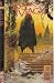 The Books of Magic #2 (Bindings II)