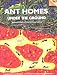 Books : Ant Homes Under the Ground