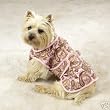 Fashion Paisley Coat X-Small for your Doggie
