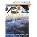 Whale (DK Eyewitness Books)