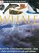 Whale (DK Eyewitness Books)