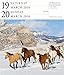 Horse Page-A-Day Gallery Calendar 2016