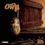 Magic Owls 2012 Wall Calendar