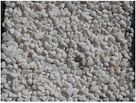 Exotic Pebbles and Aggregates 20 Lb White Bean Pebble