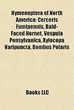 Hymenoptera of North America: Cerceris Fumipennis, Bald-Faced Hornet, Vespula Pensylvanica, Xylocopa Varipuncta, Bombus Polaris-