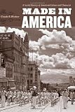 Made in America : a social history of American culture and character