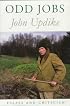 Odd Jobs: Essays and Criticism