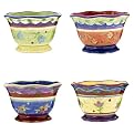 Spicewood Set of 4 Ice Cream Bowls