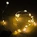 SUPERNIGHT (TM) 7ft/2m 20 LEDs Potted plants Copper LED Strings AA Battery Box LED Light Lovely LED Starry Light for Festival Gifts Xmas Lighting