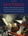 Sentinel: The Design, Fabrication, and Installation of the Monumental Sculpture by Al...