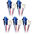 Bright Blue Led