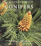 Gardening with conifers