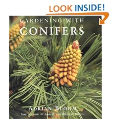 Gardening with Conifers