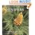 Gardening with Conifers