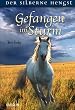 Der silberne Hengst - Gefangen im Sturm