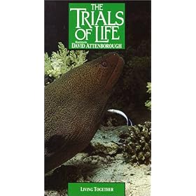 Trials of Life: Living Together [VHS]