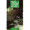 Trials of Life: Living Together [VHS]