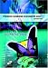 Book Produce Business Documents 2003