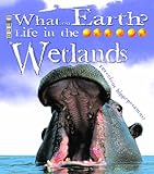 Life in the wetlands
