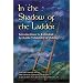 In the Shadow of the Ladder: Introductions to Kabbalah