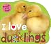 cover image for 9780312513740