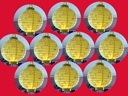 Asian Yellow With Parrots Wedding & Parties, Made of Rice Paper Battery Operated 7" Lanterns-(TEN Per Order)