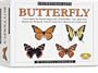 Skullduggery Eyewitness Kit Butterfly Casting Kit
