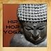 Hip Hop Yoga: For Meditation, Relaxation, and Sleep In the Urban Jungle