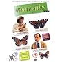 Butterflies: Complete BBC Series Collection (8 Disc Box Set) [DVD]