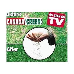 Canada Green Grass Seed - 6 Pound Bag