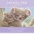 Koalas in a Crisis (Animal Ark Classics)