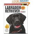 Labrador Retriever (smart Owner's Guide) by Margaret A. Gilbert