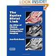 The Equine Distal Limb: An Atlas of Clinical Anatomy and... by Jean Marie Denoix