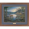 Quiet Places Framed Print By Sam Timm