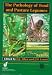 Book The Pathology of Food and Pasture Legumes (Cabi Publishing)