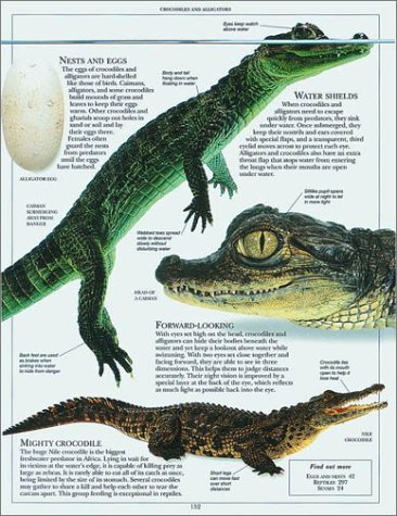 Cover image : Animal Encyclopedia