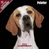 Pointer 2009 Wall Calendar 12