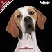   - Pointer 2009 Wall Calendar 12