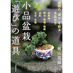 小品盆栽「遊び」の道具―盆栽鉢・飾台・添配・水石で空間を遊ぶ