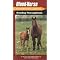 Starting Your Own Horse  Business or Improving the One You Have