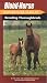  : The Blood-Horse Authoritative Guide to Breeding Thoroughbreds