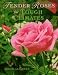 Book Tender Roses for Tough Climates