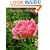 Tender Roses for Tough Climates
