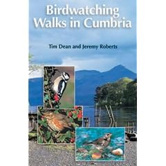 Birdwatching Walks in Cumbria