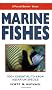 Marine Fishes: 500+ Essential-To-Know Aquarium Species
