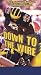 Down to the Wire: 2002 Michigan Football Highlight Video [VHS]