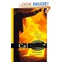 Cal: A Novel