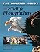 The Master Guide for Wildlife Photographers
