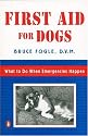 First Aid for Dogs: What to do When Emergencies Happen
