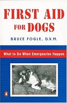 First Aid for Dogs: What to do When Emergencies Happen